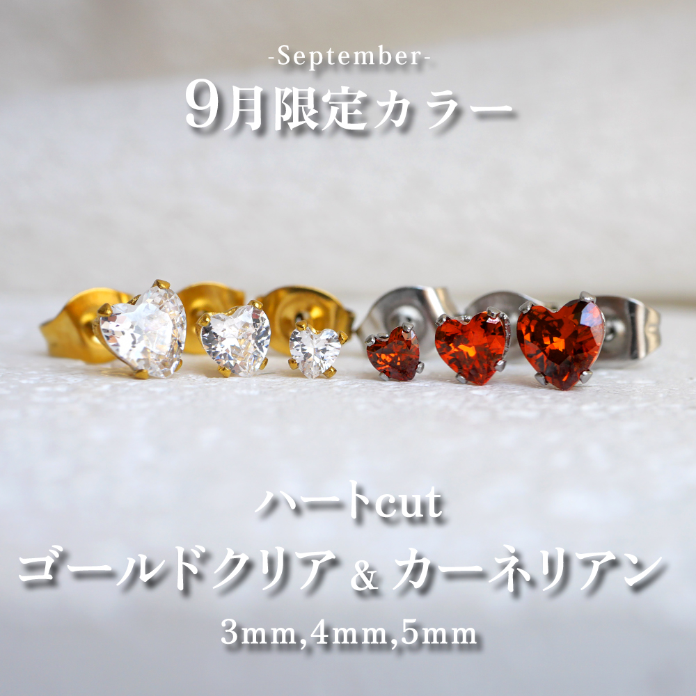 限定デザイン ステンレスピアス